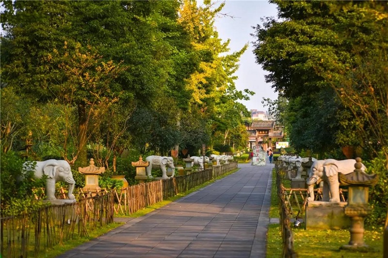 峨眉大佛禅院：赏银杏，正当时