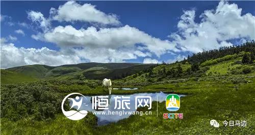微信图片_20190722104655.jpg 微信图片_20190722104655.jpg
