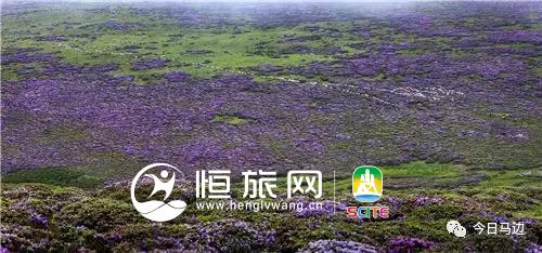 微信图片_20190722104658.jpg 微信图片_20190722104658.jpg