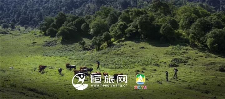 微信图片_20190722104748.jpg 微信图片_20190722104748.jpg