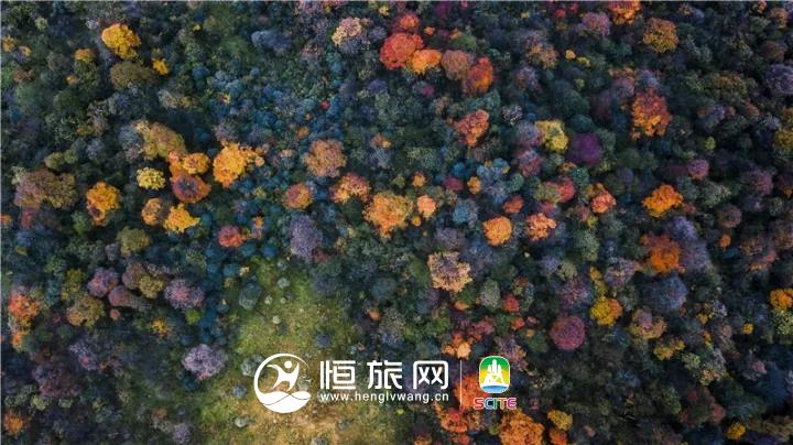 微信图片_20190722104751.jpg 微信图片_20190722104751.jpg