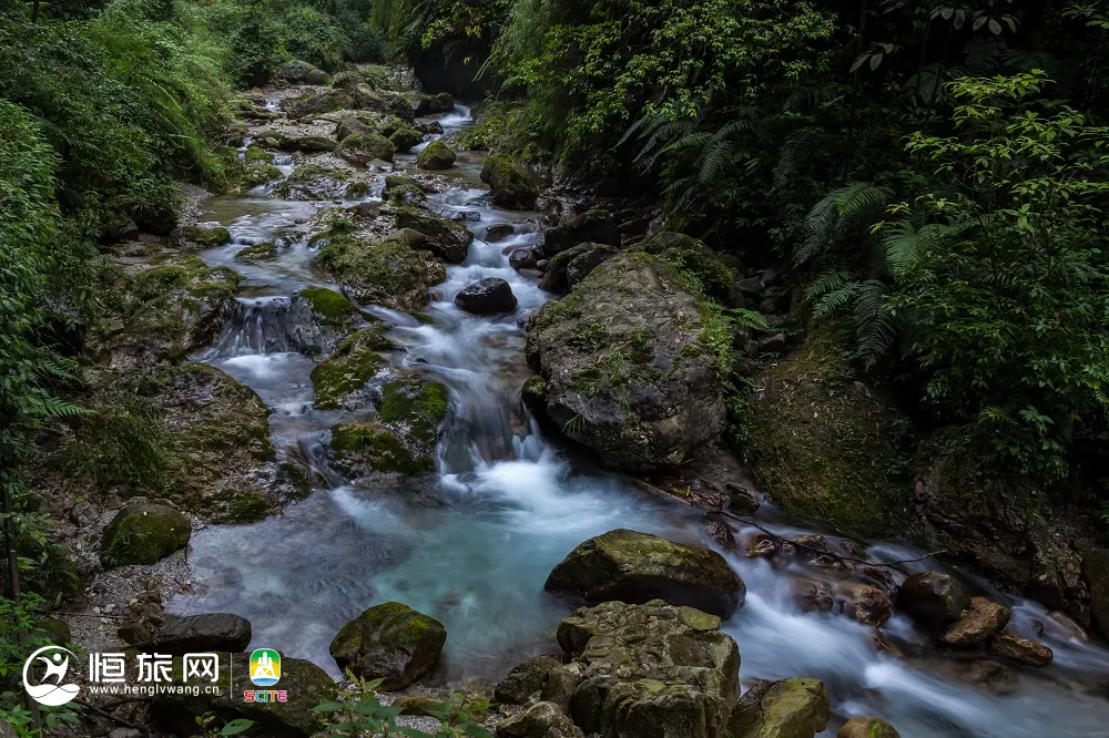 峨眉山景区09.png 图片