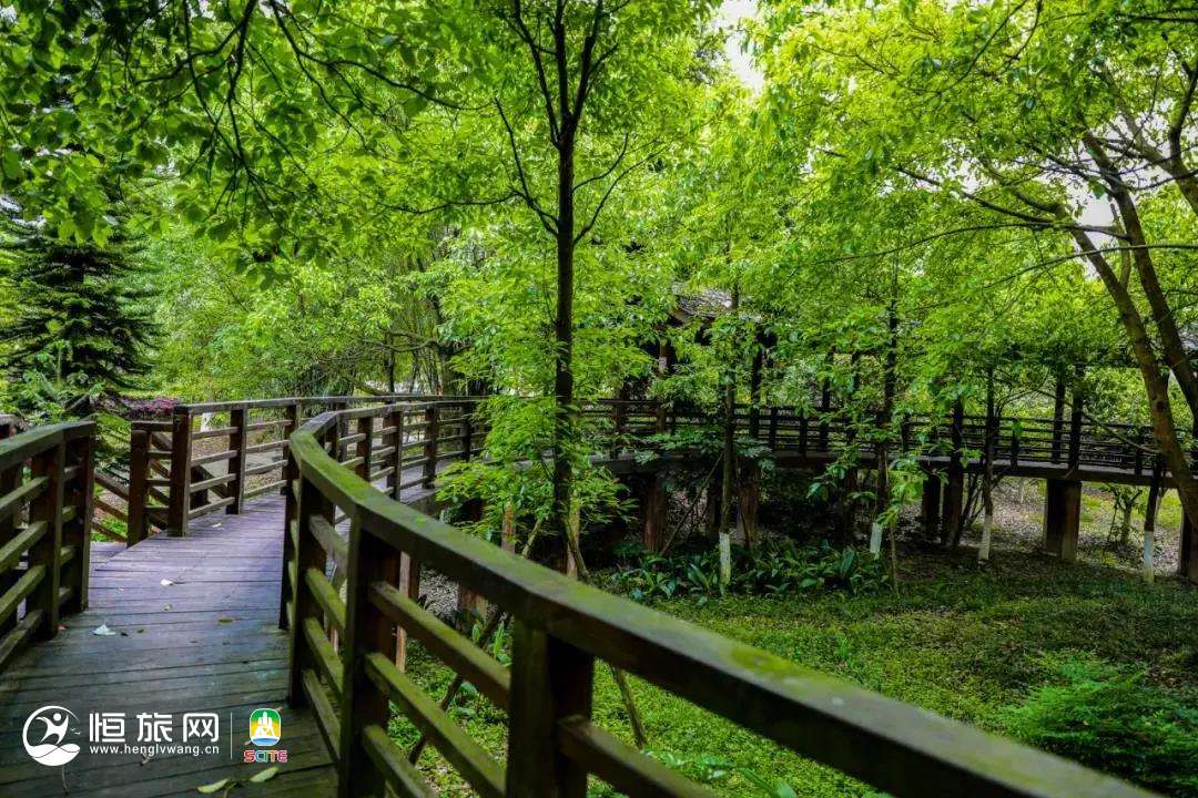 醉氧天街 沐川发布04.jpg 图片