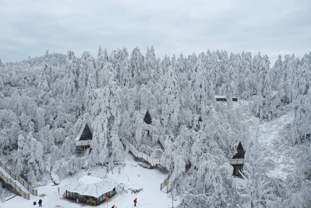 围炉煮茶、山野看雪，乐山这地方也太棒了！