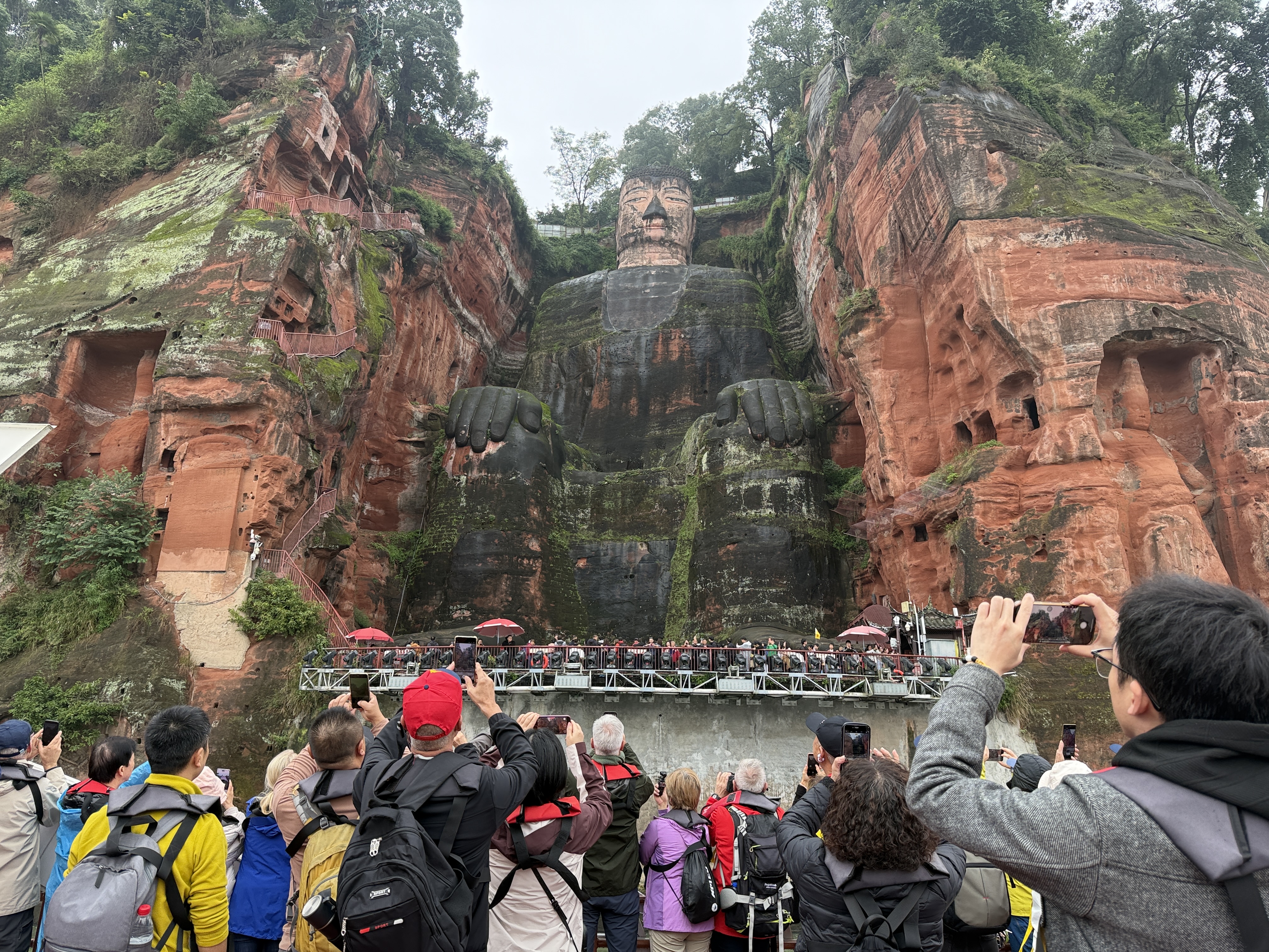 观大佛、品川菜，世界中餐业联合会嘉宾在乐山感受美好生活！