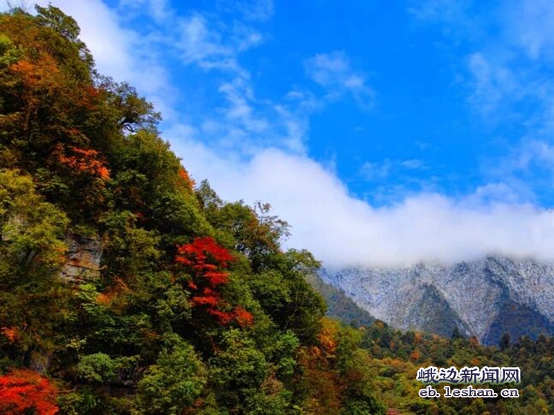 又是一年赏叶季，黑竹沟秋色正盛！