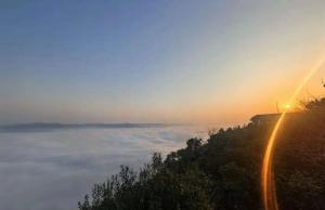 藏不住了！这些银杏打卡点太出片