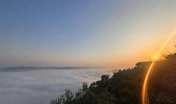 藏不住了！这些银杏打卡点太出片