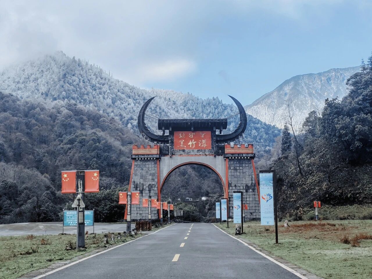 远山含雪，近林染金！此刻的黑竹沟美呆了