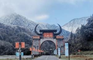 远山含雪，近林染金！此刻的黑竹沟美呆了