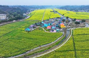 全市唯一！夹江+1安排！村里玩吧~