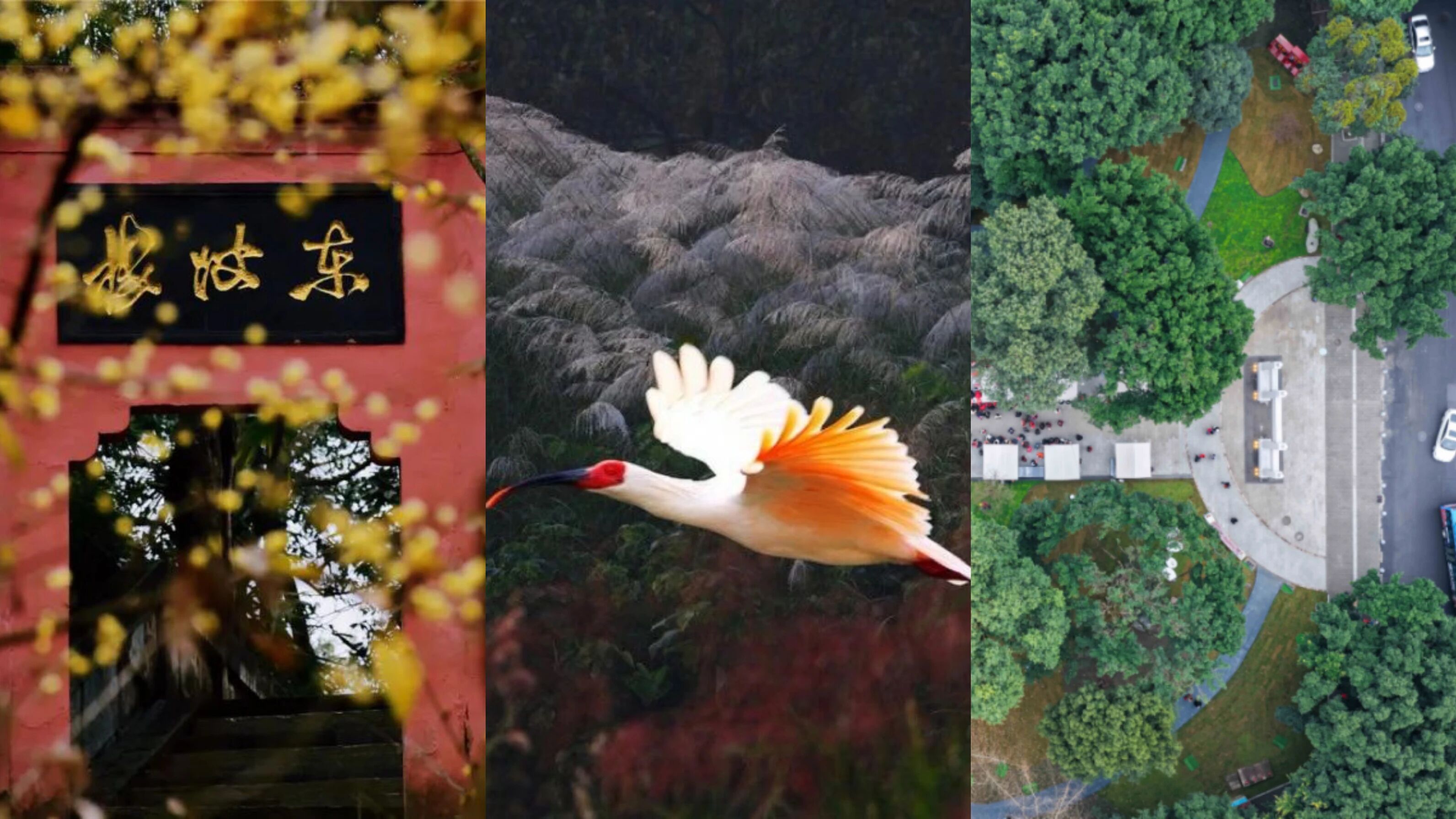 乐山又“上新”了！6个打卡好去处，趁人少赶紧去~