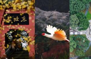 乐山又“上新”了！6个打卡好去处，趁人少赶紧去~