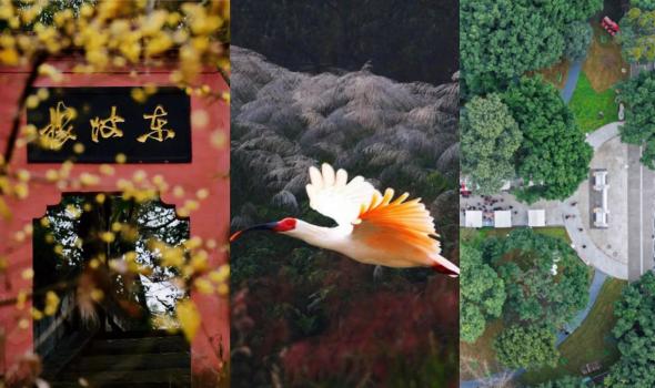 乐山又“上新”了！6个打卡好去处，趁人少赶紧去~