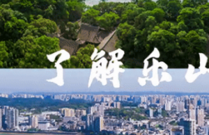 “魔芋法庭”量身裁 营商环境提质优