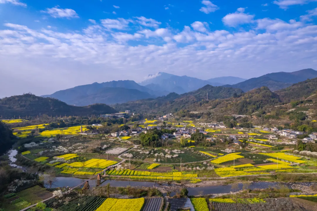 花儿都开爆啦！又在乐山挖到一个超出片的好地方