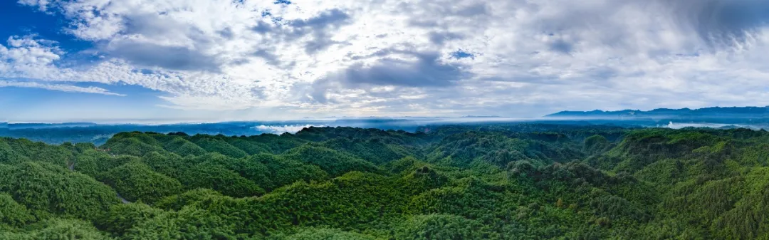 攻略来了！沐川8大研学基地，把春天变成孩子的成长课堂