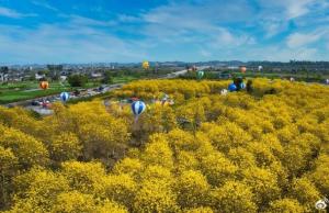遇见金色童话——水口镇龙窝村