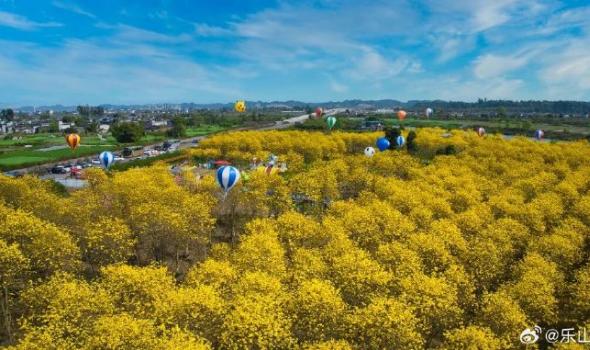 遇见金色童话——水口镇龙窝村