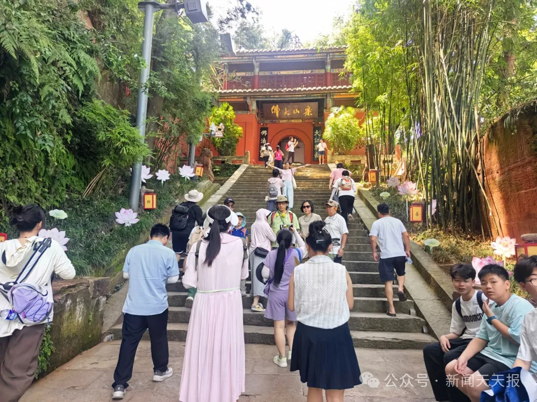 每天投放近5000斤！乐山这个景区太“宠”游客了